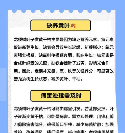 新叶叶子发黄的处理方法是什么？