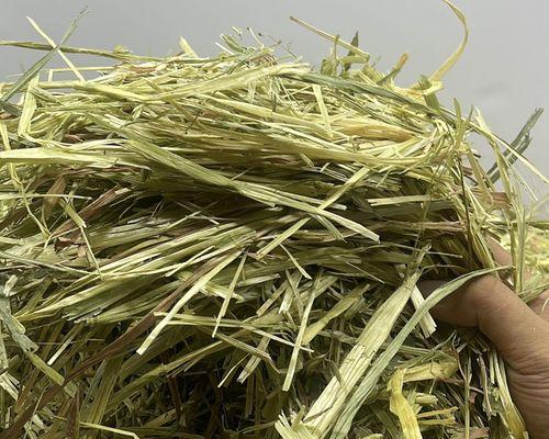 燕麦草栽培的技术要点是什么？