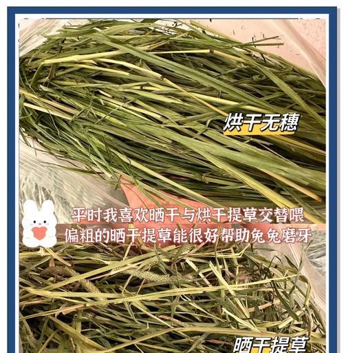 燕麦草栽培的技术要点是什么？