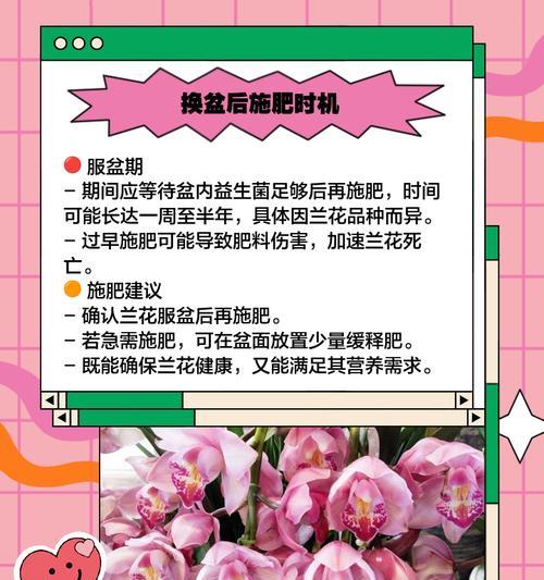 花卉繁殖后多久换盆好？换盆的最佳时机是什么时候？