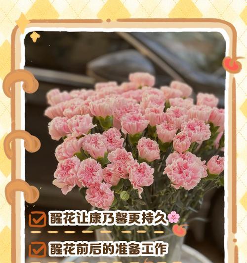 醒花的浇水方法是什么样的？如何正确给花苗浇水？