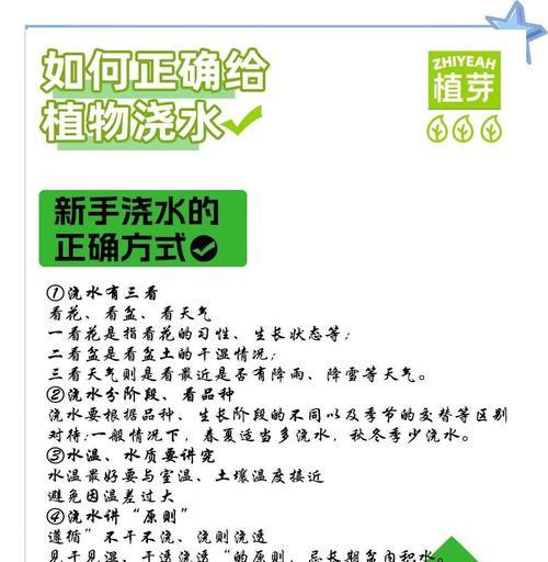 醒花的浇水方法是什么样的？如何正确给花苗浇水？