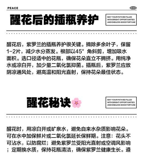 醒花的浇水方法是什么样的？如何正确给花苗浇水？