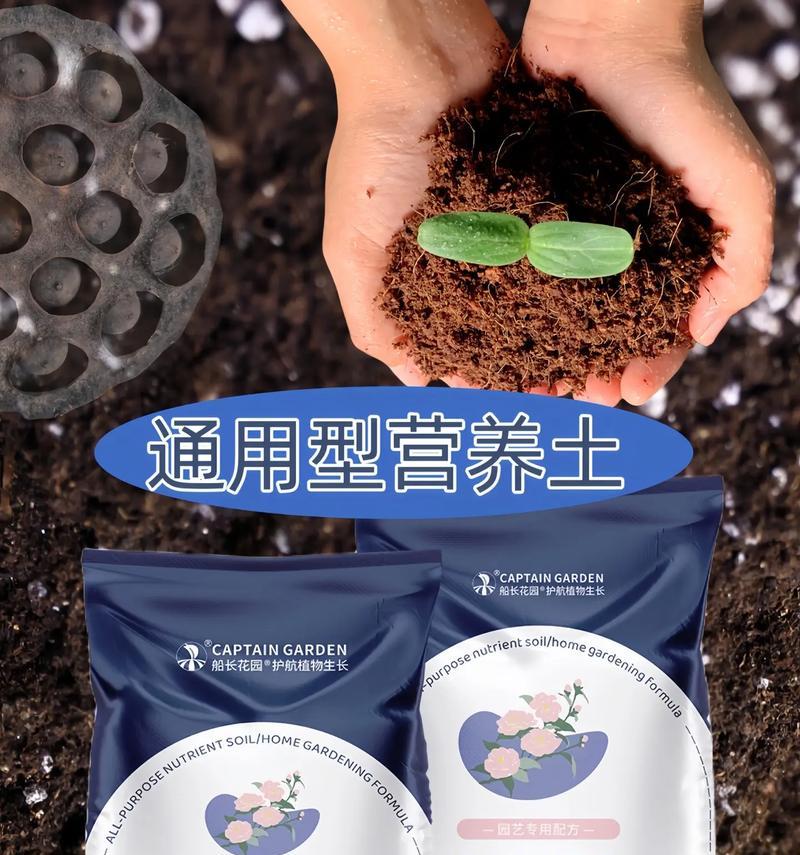 阳台花什么肥料最好用？推荐的肥料种类和使用方法。