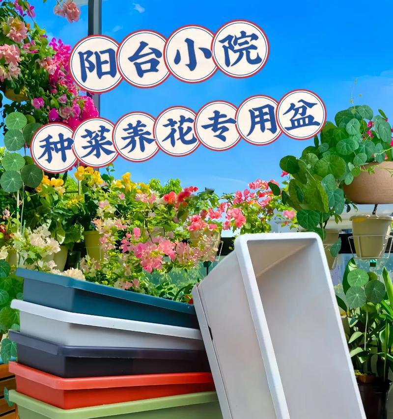 阳台长盆适合种植哪些花卉？