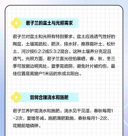 君子兰推号技巧？使用什么工具进行君子兰推号？