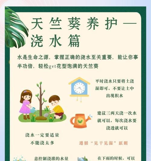 天竺葵冬季养护技巧有哪些？