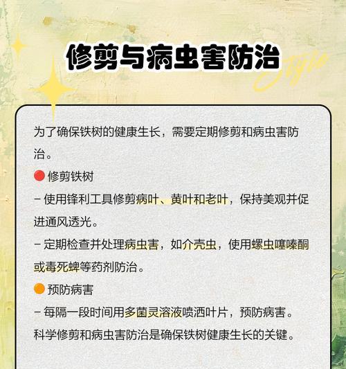 铁树如何养护才能保持叶子绿不发黄？