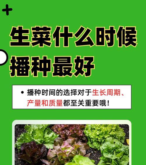 山西地区花种子播种的最佳时机是什么时候？