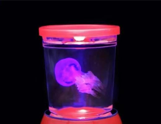 面塑水生植物种类有哪些？如何正确养护？