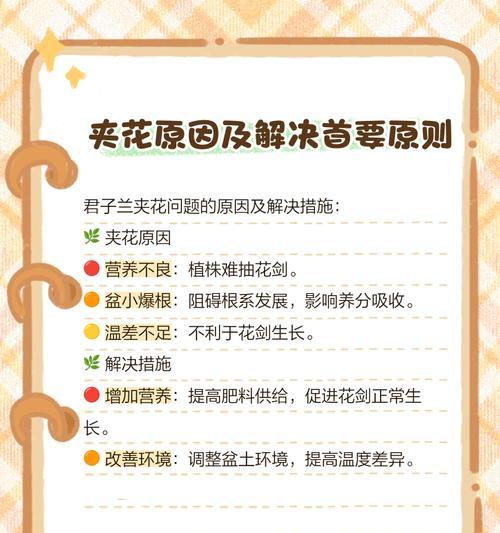 君子兰开花后修剪的最佳时机和方法是什么？