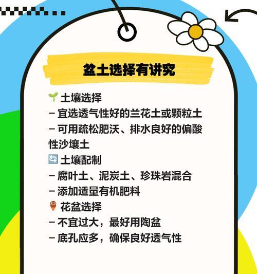 君子兰苗蓝花的正确养护方法是什么？