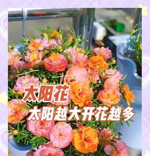 为什么春天是播种的最佳时机？