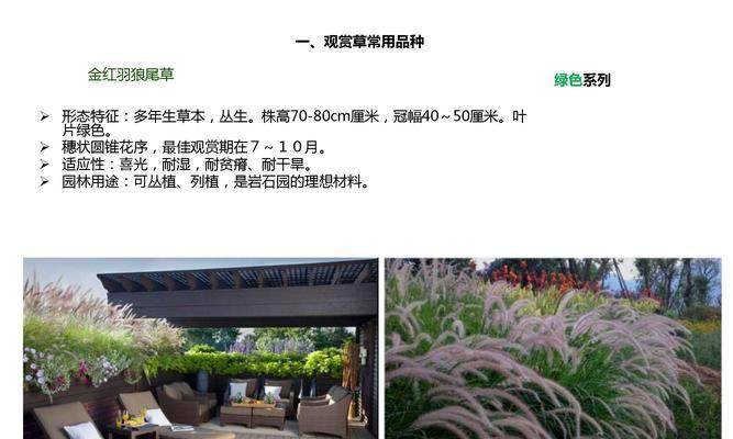 观赏植物产品种类繁多，如何选择？