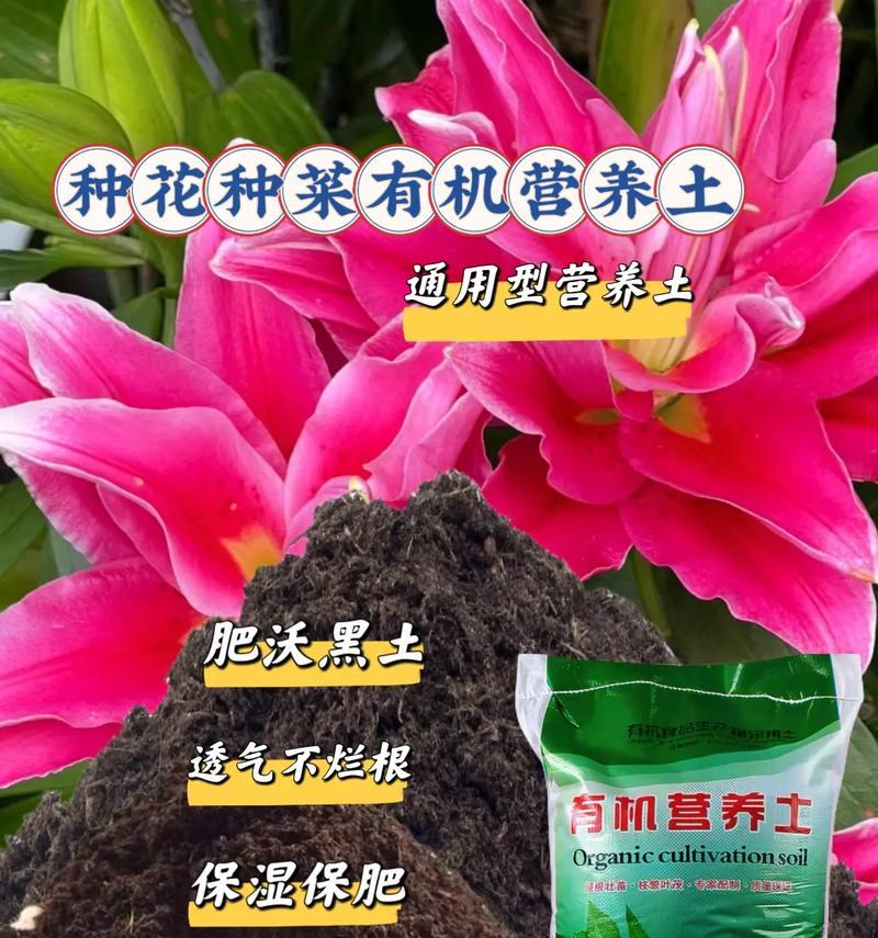 营养土种植木本植物的正确方式是什么？需要注意什么？