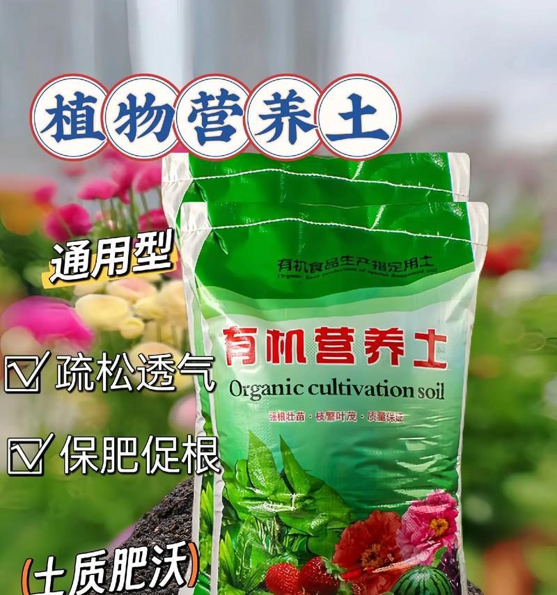 营养土种植木本植物的正确方式是什么？需要注意什么？