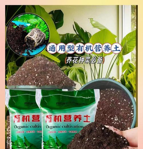 营养土种植木本植物的正确方式是什么？需要注意什么？