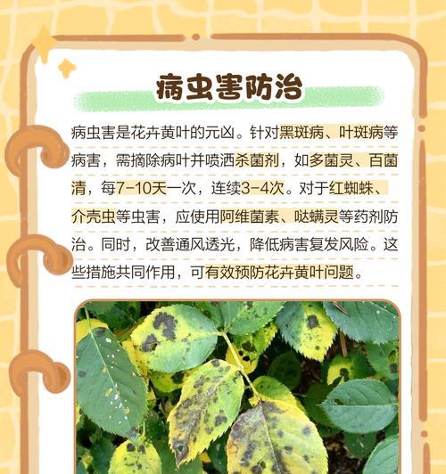 叶子发黄长斑点的解决方法是什么？