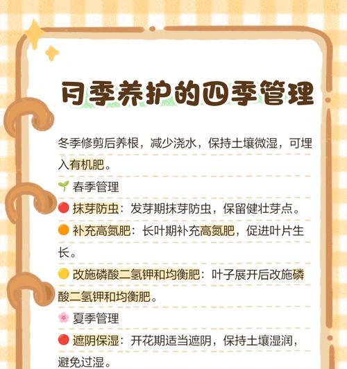 屋顶月季的养护技巧是什么？