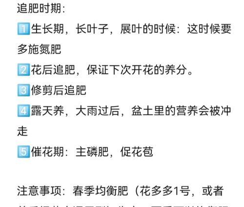 绿植施肥技巧有哪些常见问题？