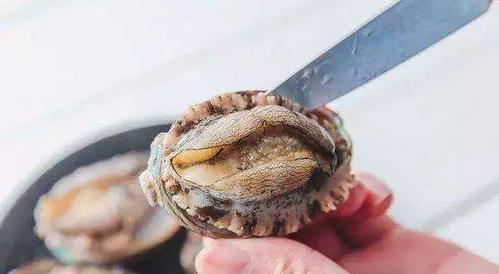 君子兰有蜗牛怎么处理？有哪些有效的方法？