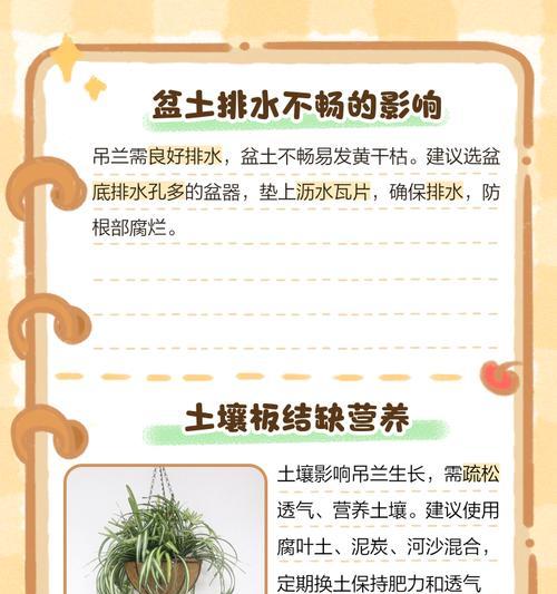 叶子频繁发黄可能是什么原因？