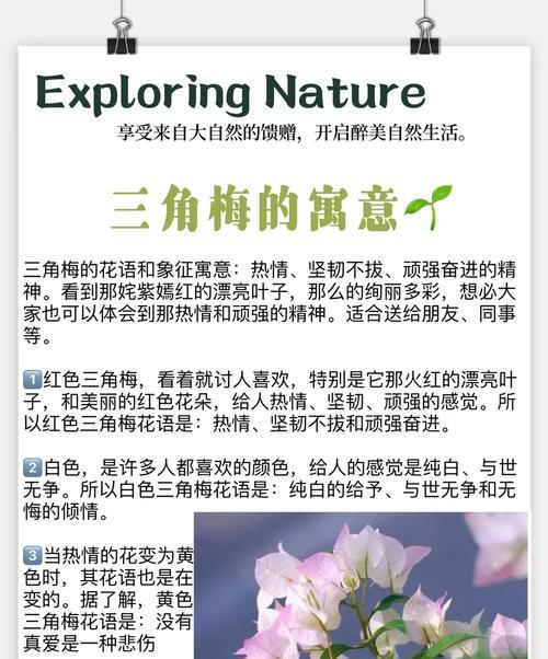 三角梅出现虫害的原因是什么？