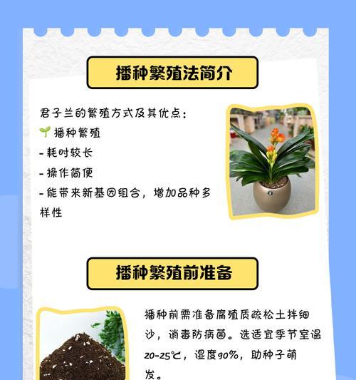 鸳鸯君子兰如何繁殖？繁殖方法有哪些？
