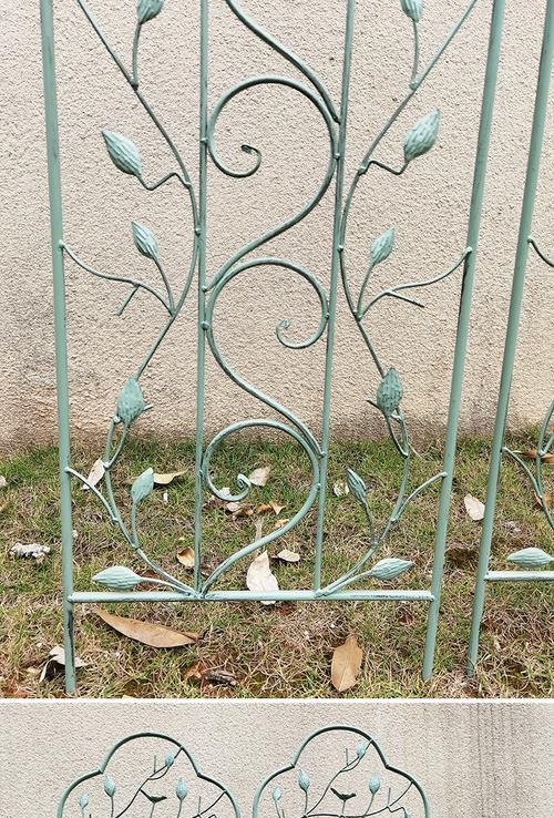 哪些品种适合用作爬架观赏植物？