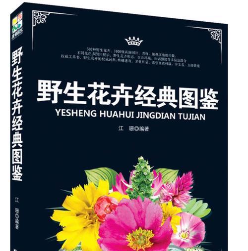 老房子适合种植哪些野生花卉？如何进行养护？