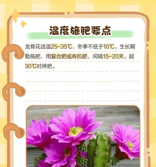 地下播种的花叫什么？地下播种花卉的养护要点有哪些？