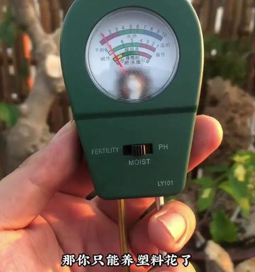 怎么看盆景是否浇透？判断盆景土壤湿度的有效方法是什么？
