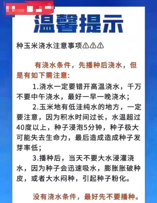 单县地区玉米的最佳播种时间是什么时候？