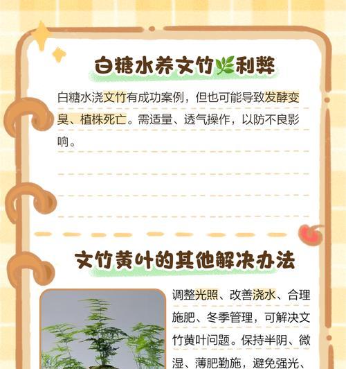 矢竹叶子发黄的解决方法是什么？
