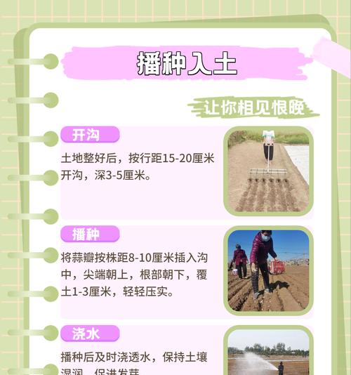 播种后可以收获哪些种子？