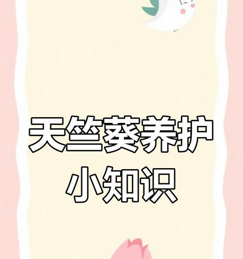 天竺葵浇水施肥如何平衡？