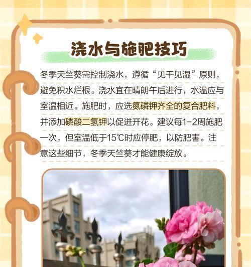 天竺葵浇水施肥如何平衡？