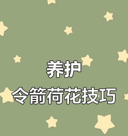 夏天如何正确为荷花浇水？