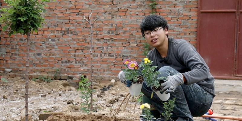 花卉大苗繁殖需要多长时间？