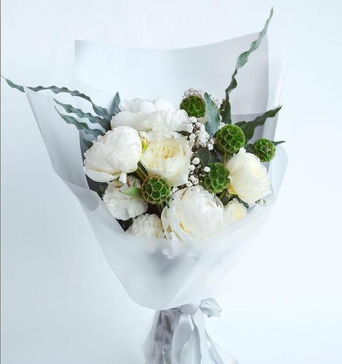 白中带黑的花含义是什么？这种颜色组合在花语中的代表意义是什么？