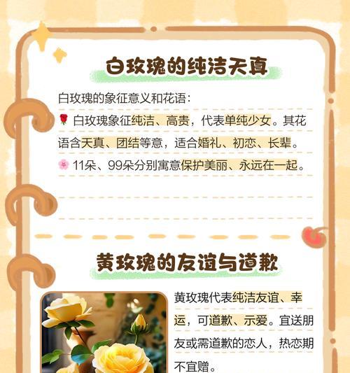 不同颜色玫瑰的寓意和花语是什么？如何挑选？