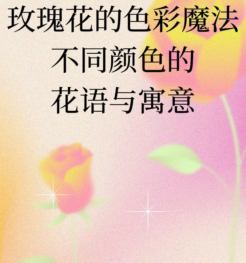 不同颜色玫瑰的寓意和花语是什么？如何挑选？