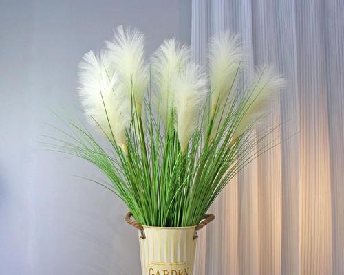 花艺阁象征着什么？花艺阁在花语中代表什么？