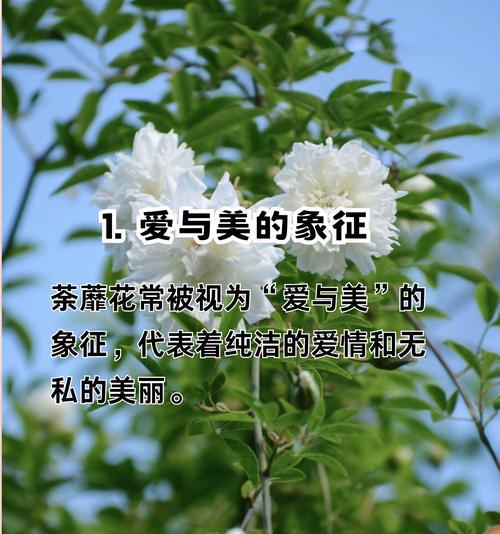 诗句中赠花的含义是什么？它如何表达情感？