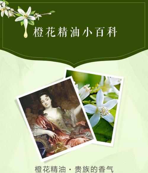 橙花的花语含义是什么？橙花在花语中代表了什么？