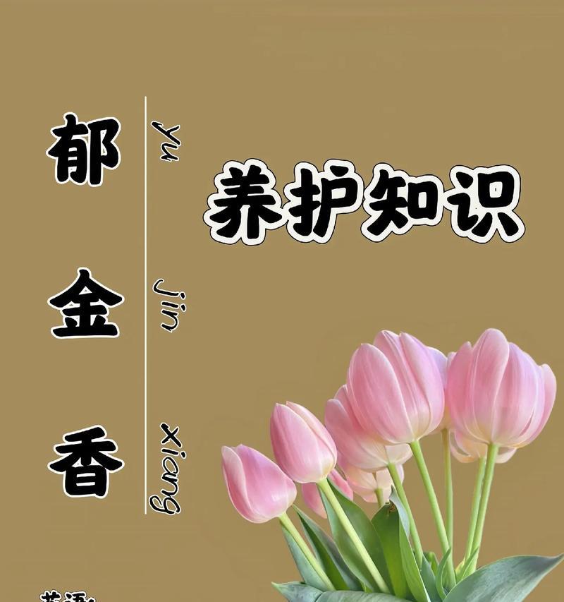 紫郁金香花语有哪些含义？紫郁金香的象征意义是什么？