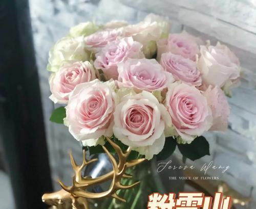 喜欢什么花代表爱情？每种花的含义是什么？