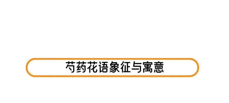 芍药的花语和象征意义是什么？