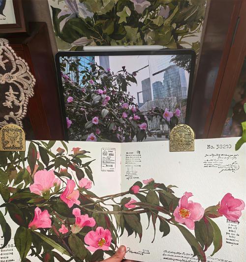 理想之花象征着什么？理想之花的花语是什么？