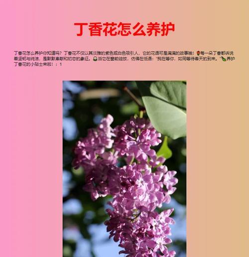 芬芳花象征着什么？花的含义花语是什么？